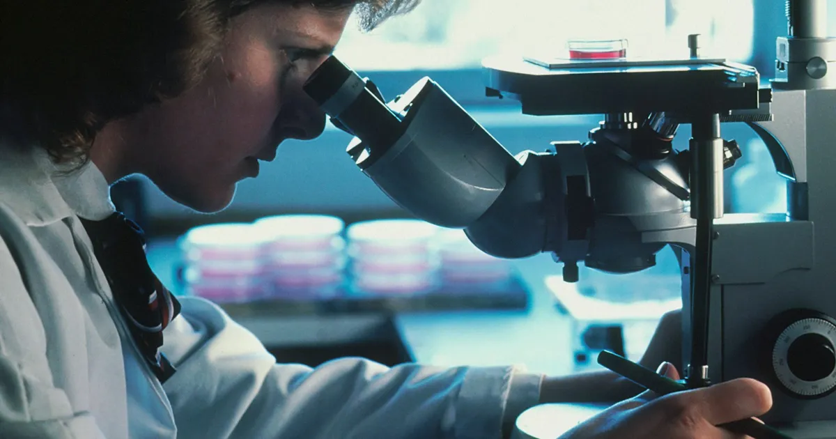 Técnica de laboratorio observando muestras al microscopio